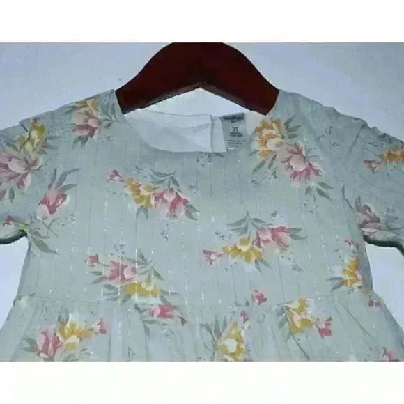 Oshkosh Floral Metallic Thread Ruffled Layered Boho Girls Toddlers Dress Size 2T - Picture 2 of 16
